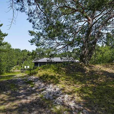 Beautiful Summer House Near Forest And