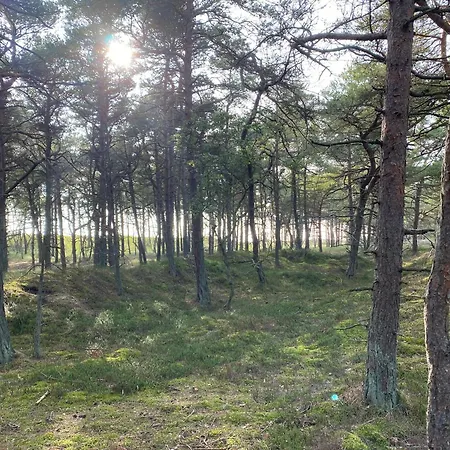 Beautiful Summer House Near Forest And Neksø