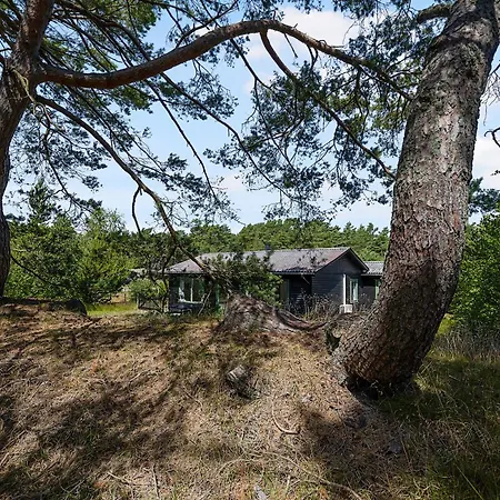 Beautiful Summer House Near Forest And *